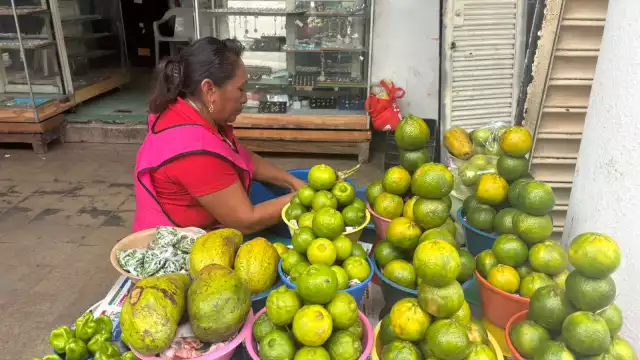 El kilogramo de mandarinas en temporada ronda entre 25 y 30 pesos.