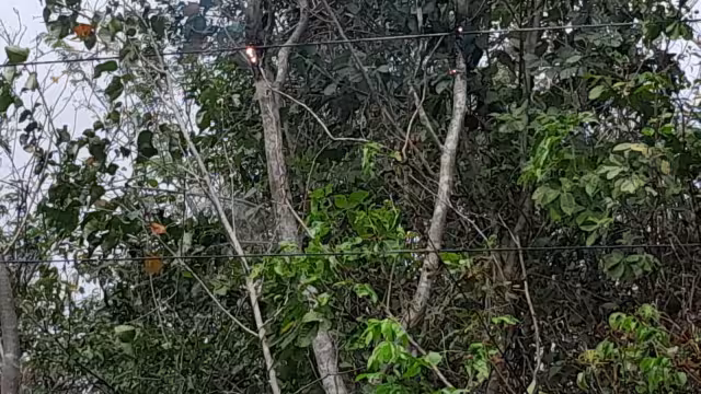 En las comunidades afectadas radican casi 5 mil personas