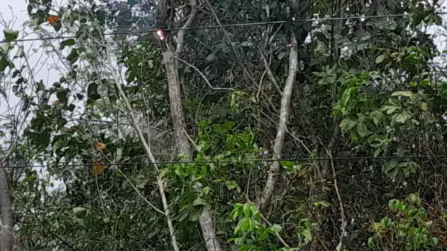 En las comunidades afectadas radican casi 5 mil personas