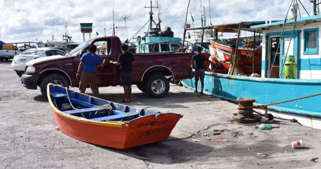 Marineros esperan una captura más rentable con el arranque de la temporada de langosta y pulpo