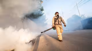 Dengue en Yucatán cae 86% y liga nueve semanas en cero casos