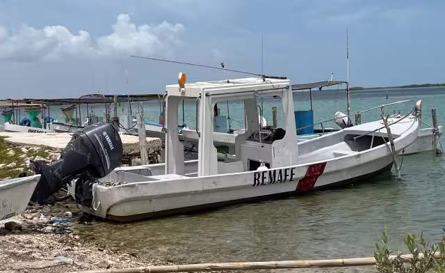 Capitanías de puerto de la región emiten alertas preventivas por la llegada de una surada