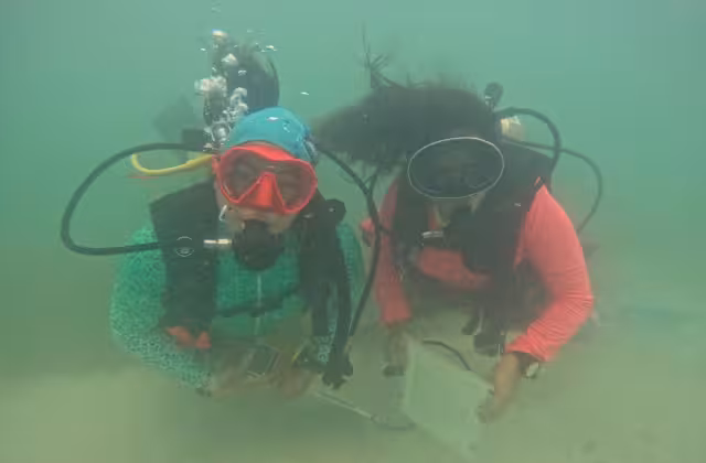 Mujeres del Mar, Guardianas del Oriente dan seguimiento a las labores de preservación de ecosistemas