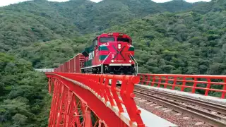 Tren de carga se descarrila en Sinaloa; hay tres lesionados