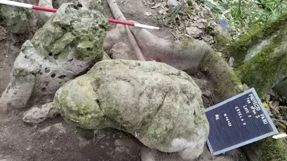Casi 3,000 años de antigüedad tienen los vestigios encontrados. Casi 3,000 años de antigüedad tienen los vestigios encontrados.
