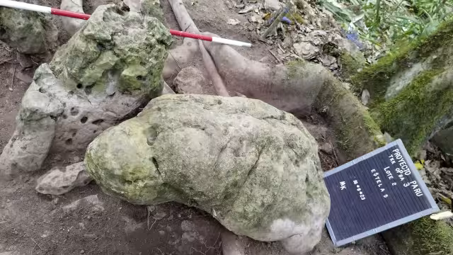 Casi 3,000 años de antigüedad tienen los vestigios encontrados.