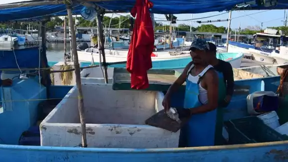 Los hombres de mar están esperanzados en la apertura para la captura de pulpo, el 1 de agosto