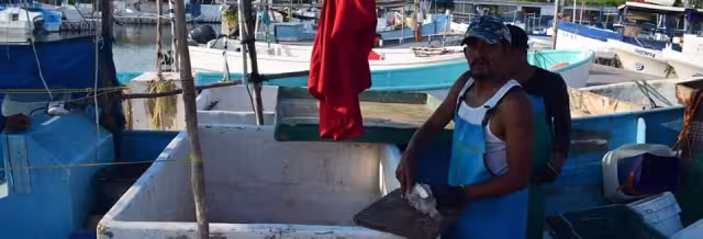 Los hombres de mar están esperanzados en la apertura para la captura de pulpo, el 1 de agosto