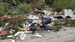 No guardes basura: Este es el calendario de recolecta de desechos en diferentes colonias de Campeche  