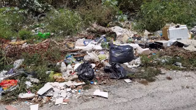 Personal de obras públicas tiene la obligación de realizar la limpieza de parque y jardines