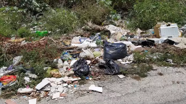 Personal de obras públicas tiene la obligación de realizar la limpieza de parque y jardines