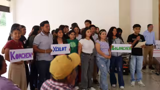 Hopelchén: agroquímicos y muerte de abejas llegan a la ONU