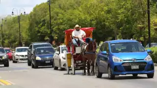 Animalistas anuncian protesta en contra de las calesas con caballos en el Centro de Mérida
