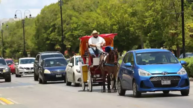 Animalistas exigirán justicia por la agresión a las calesas