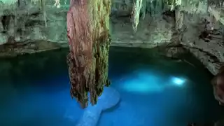 Los cenotes pueden albergar un hongo conocido como Histoplasma capsulatum
