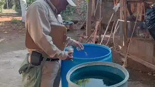 Secretaría de Salud exhorta a eliminar criaderos para frenar el dengue