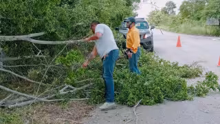 Lluvias y fuertes vientos dejan apagones y árboles caídos en Dzilam González, Dzan y Oxkutzcab