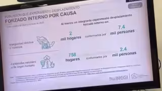 Violencia obliga a 7 mil 400 personas a dejar sus hogares en Campeche