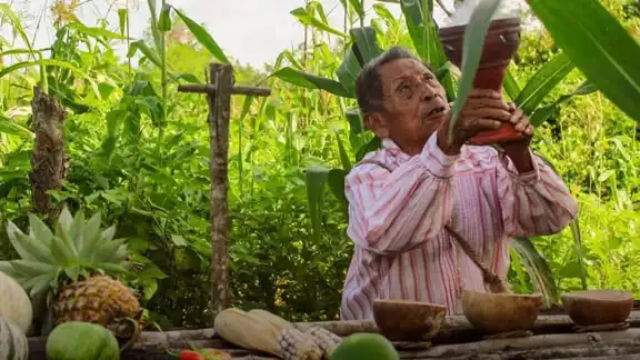 El Jaanlil Kool es un ritual maya de agradecimiento y petición a los dioses del monte