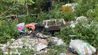 Basurero clandestino en Avenida Kabah afecta áreas verdes y habitantes 