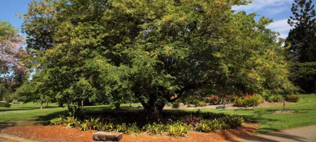 El hombre presentó fracturas tras caer al piso