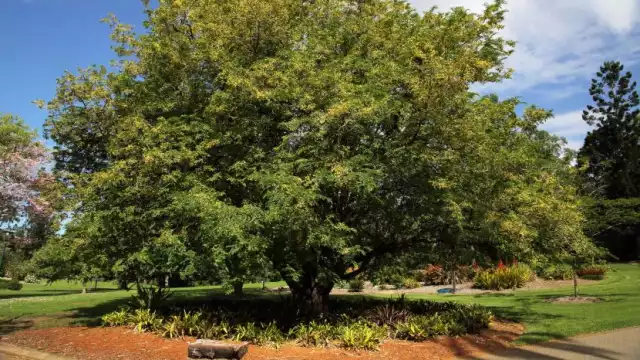 El hombre presentó fracturas tras caer al piso