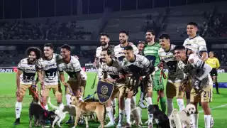 Pumas saltó al terreno de juego con varios perros