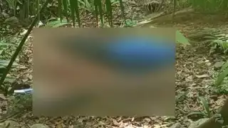 Hallan sin vida a un hombre con una herida por arma de fuego en Chankom