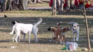 El joven tuvo que ser rescatado por policías de la CDMX