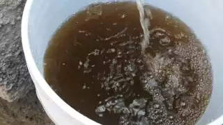 Chetumalenses reportan agua potable insalubre