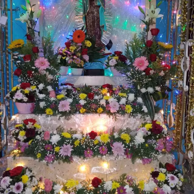 Denuncian saqueo al altar de la Virgen de Guadalupe en Chetumal
