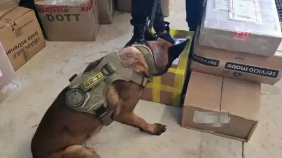 Entre las dosis aseguradas, se identificaron 13 mil 384 dosis de marihuana, 152 de cocaína, 177 de crack y 610 de cristal.