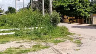 Predio abandonado de la CFE invade de maleza calles de Hopelchén 