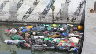 Preocupa la contaminación del mar en Progreso por la basura y químicos provenientes de navíos