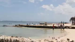 El Gobierno del Estado y especialistas desarrollan pruebas para combatir la erosión y proteger la fauna