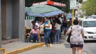 En Yucatán existen por lo menos una docena de alergias comunes.