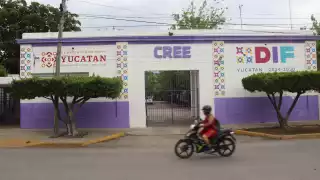 Una de las estrategias ha sido aumentar la capacidad con especialistas para brindar las terapias