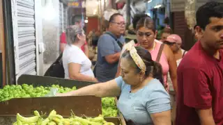 El CICY desarrolla especies modificadas del picante, hoy día tiene cuatro disponibles al público
