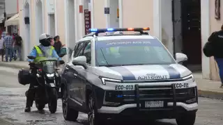 “No se busca castigar, sino evitar gente irresponsable”, declaró Cecilia Patrón