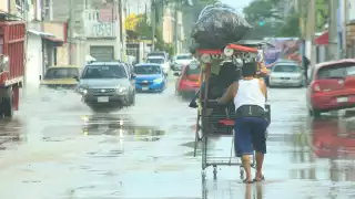 Se espera que durante toda la semana la lluvia se mantenga moderada