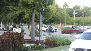 Se busca retirar las jardineras de Paseo de Montejo de Mérida
