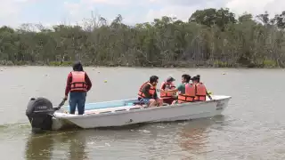 Comunidades participan en un proyecto de monitoreo del CICY por la conservación de manglares