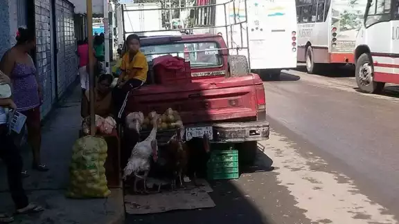 Es común que estos vendedores se instalen en calles estratégicas para ofrecer productos como azúcar, frutas y verduras