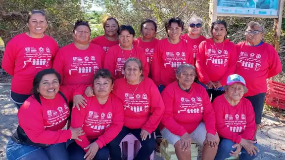 Gracias a la amplia labor de Las Chelemeras, se han recuperado manglares de Progreso Gracias a la amplia labor de Las Chelemeras, se han recuperado manglares de Progreso