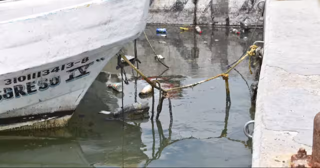 La Caleta de Progreso vuelve a contaminarse; basura y aceite invaden manglares