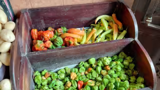 Por los cielos el precio del chile en Hopelchén; un kilo xcatic cuesta $145