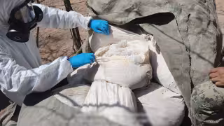 Autoridades desmantelan tres laboratorios de metanfetamina en Sinaloa