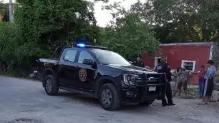  Denuncian  envenenamiento  masivo de  mascotas  en Motul 