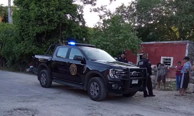 Al menos dos perros y un gato son víctimas de crueldad en la colonia Edesio Carrillo Puerto