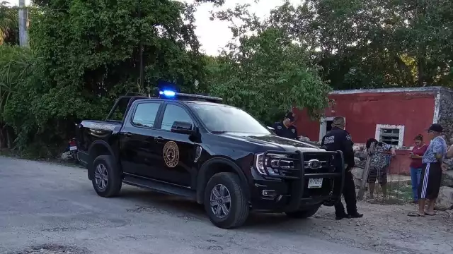 Al menos dos perros y un gato son víctimas de crueldad en la colonia Edesio Carrillo Puerto